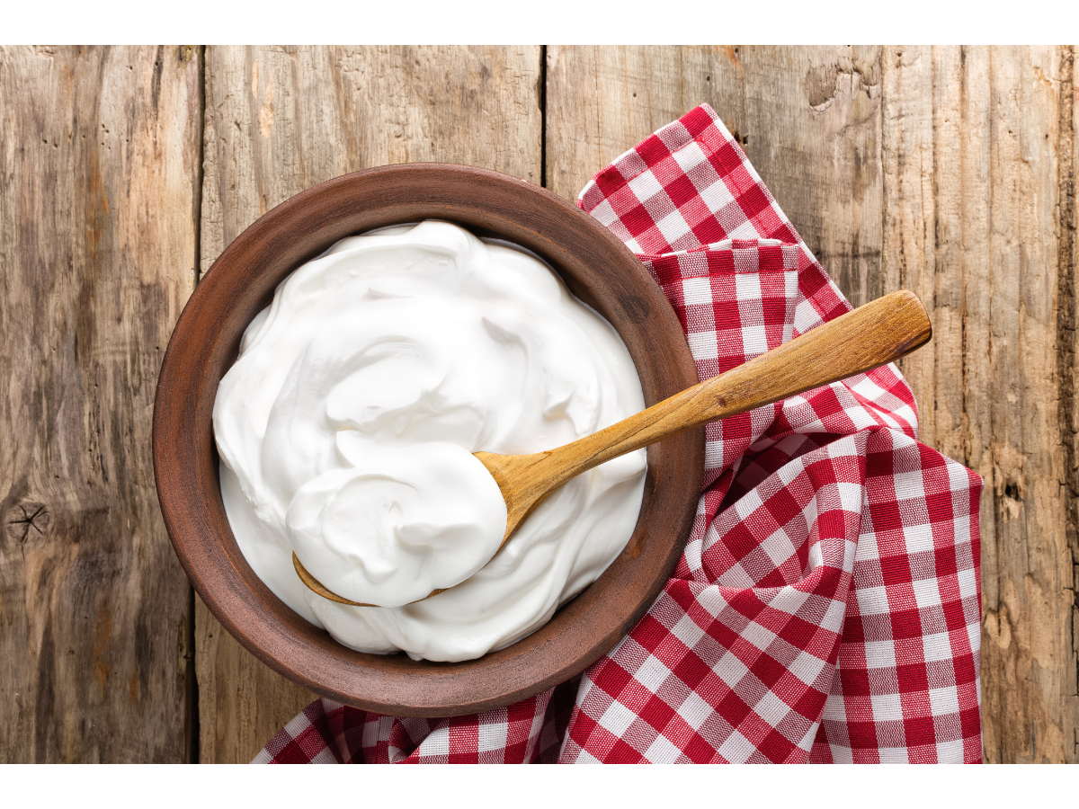 5 Best-Selling Ultimate Indian Yogurt Brands You Need to Know About (2023)